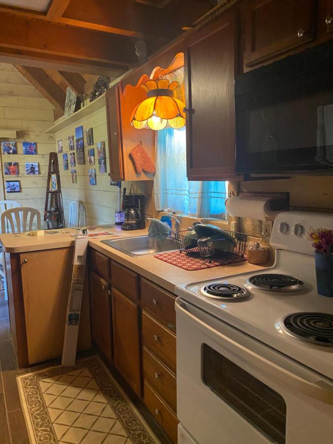 Log Harbor Cabins Okeechobee Exterior foto