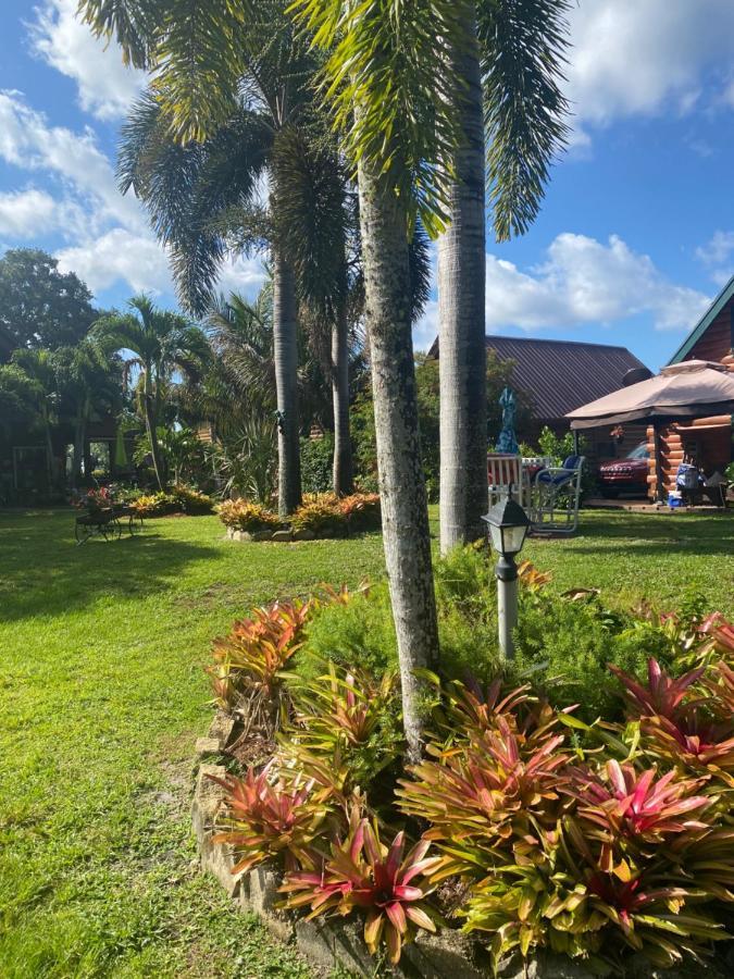 Log Harbor Cabins Okeechobee Exterior foto